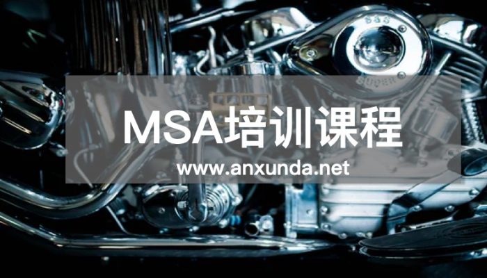 MSA培训