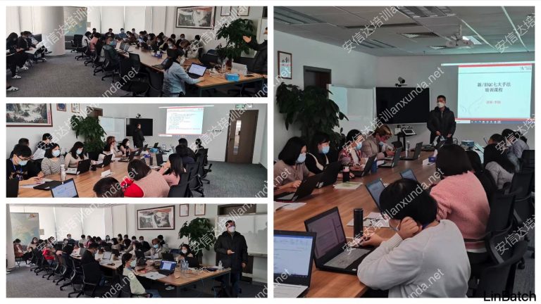 8D问题解决常见问题与案例分析培训